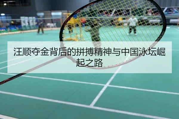 汪顺夺金背后的拼搏精神与中国泳坛崛起之路